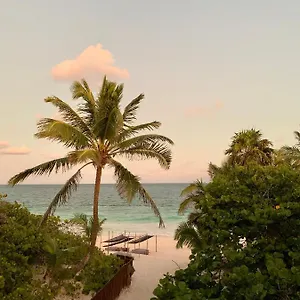 Hotel Libelula Beachfront